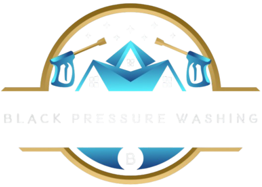 Black Pressure Washing Logo