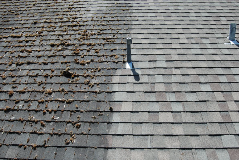 Roof Cleaning